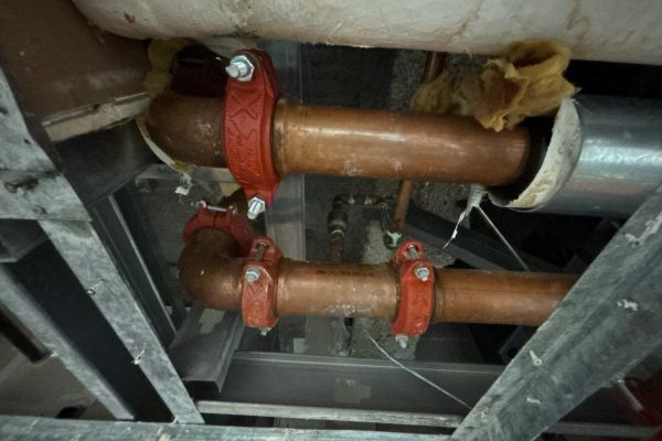 1-Nov 24 2025 08_30pm-ejji